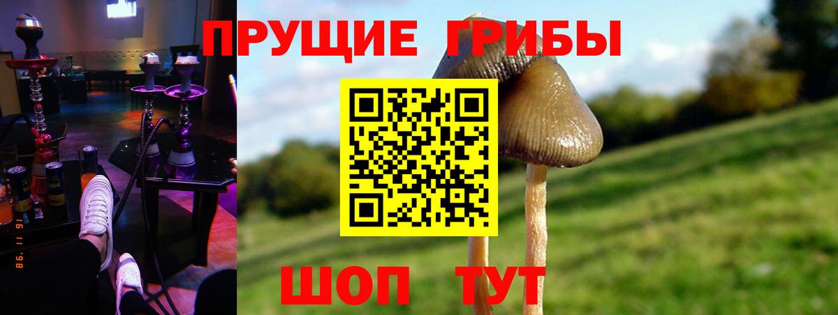 Псилоцибиновые грибы Psilocybe  Вход с VPN  Рассказово 